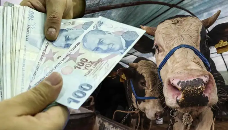 Kurban Bayramı Öncesi Maaşlar Zamanında Yatacak mı?
