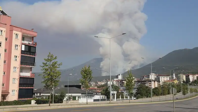 Denizli'de Yangın Korkusu: Orman Yangını ve Gözaltındaki Şüpheli