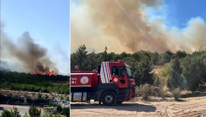 Gebze'de Çıkan Orman Yangınına Müdahale Devam Ediyor