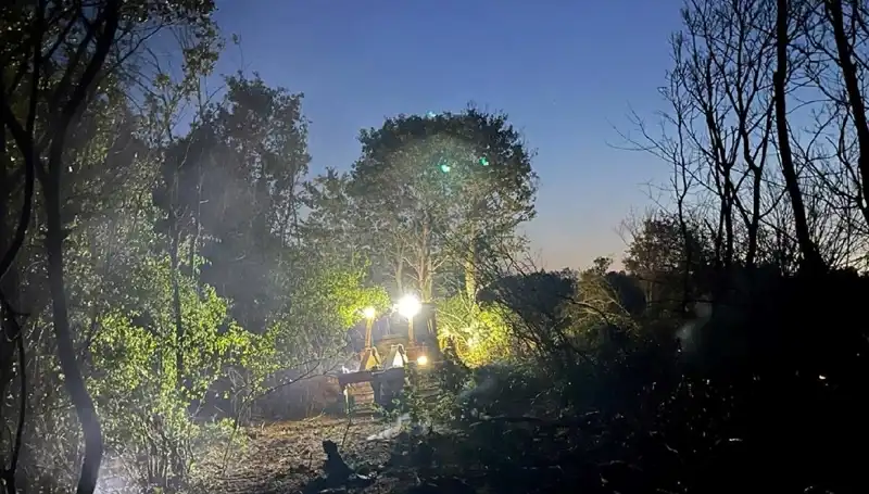 Edirne'deki Orman Yangını: Ekipler Zamanla Yarışı Kazandı