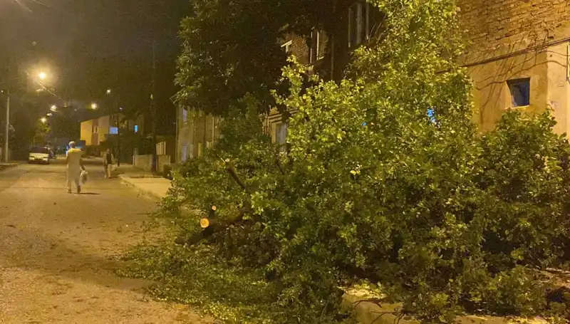Karabük'te Şiddetli Fırtına: Can ve Mal Kaybı Olmadı