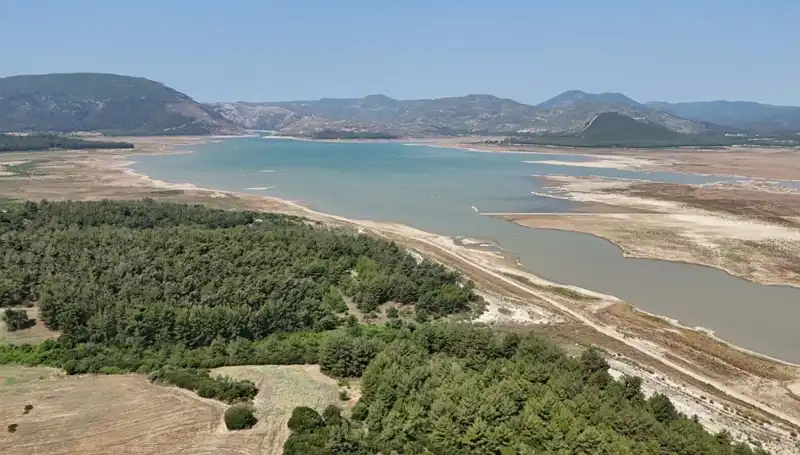 İzmir'deki Ekonomik Düşüş: Endişe Verici Yüzde 50'lik Azalma