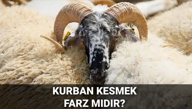 Kurban Kesmenin Farz Oluşu ve Şartları Hakkında Bilmeniz Gerekenler