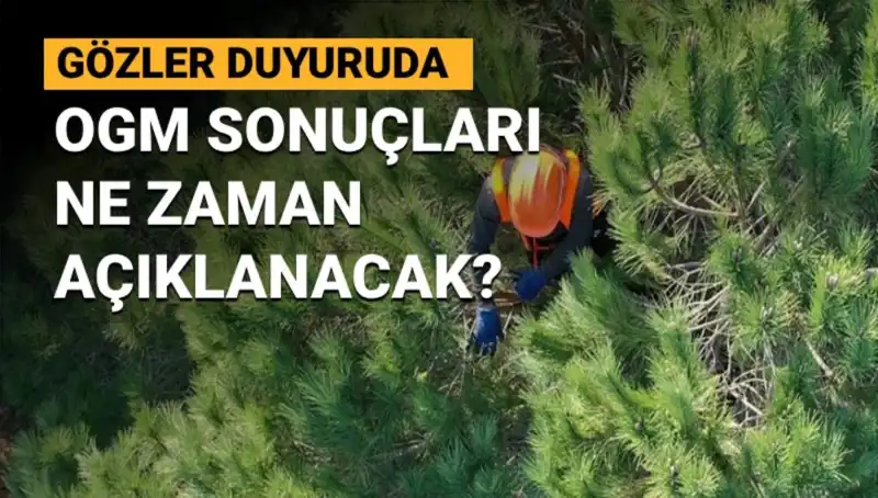 OGM Personel Alımında Beklenen Sonuçlar: 3.477 Sözleşmeli Çalışan Kimler Olacak?