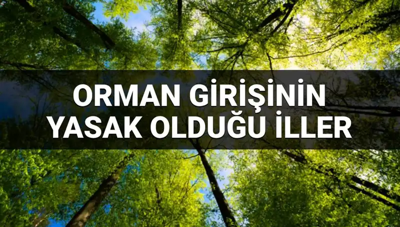 2025'te Ormana Girişi Yasaklanan İllerin Gizli Listesi Açıklandı