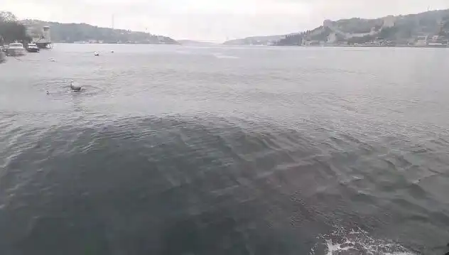İstanbul Boğazı'nda Dalgaların Yükselmesi: Nedenleri ve Etkileri
