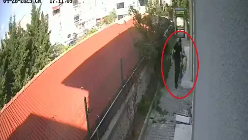 Hayvan Sevgisiyle Tanınan Doktorun İnanılmaz Suçlaması: Sahiplendiği Köpekleri Parçaladı