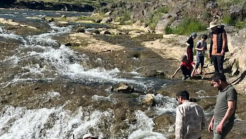 İnci Kefalinin Eşsiz Göçü: Binlerce Turistin İlgisini Çekiyor