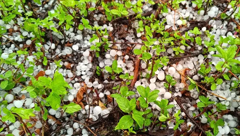 Temmuz Ortasında Yaşanan Dolu Felaketi: Hasar ve Sonrası