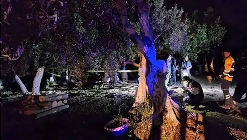 Çiftlikteki Baltalı Vahşete İlk Tutuklama: Olayın Arka Planı Nedir?