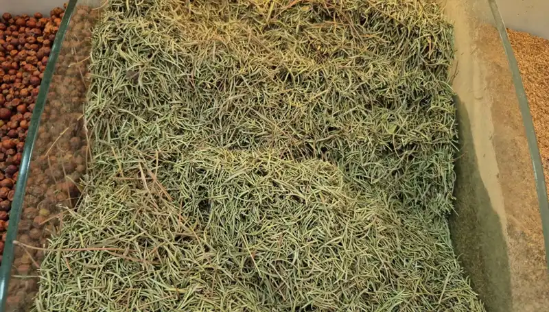 Yaz Aylarında Artan Online Satışlar: Ölüme Götüren Tehlikeler