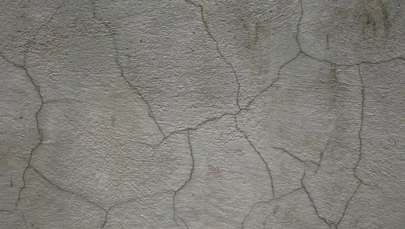 Canlı Beton: Geleceği Şekillendiren Kendini Onaran Malzeme