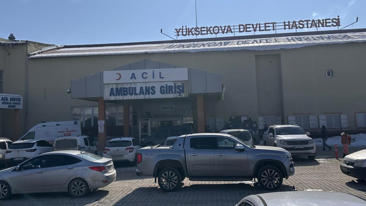 Müfettiş, Başıboş Köpeklerin Saldırısında Ölen Çocuk Olayını İnceleyecek