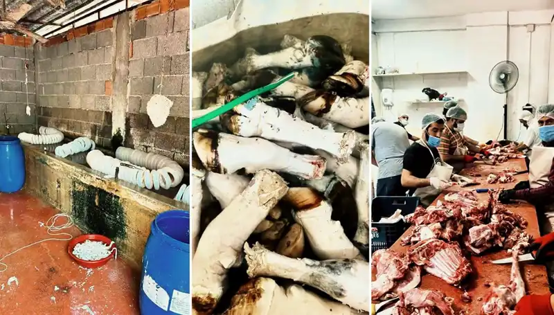Adana'da Şok Eden Yasa Dışı Paça Operasyonu: Yüzlerce Kilo Ele Geçirildi