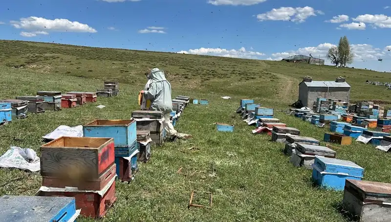 Dedelerinin Mirasını Yaşatan Çift: Yıllardır Süregelen Geleneksel El Sanatları