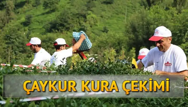 Çaykur Canlı Kura Sayfası: Çaykur İsimleri Nasıl Öğrenilir?