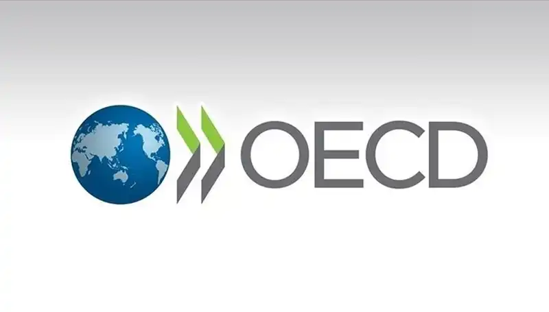 OECD, Türkiye'nin Ekonomik Büyüme Tahminlerini Revize Etti: Yeni Rakamlar İle Ne Beklemeliyiz?