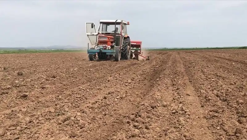 Son 35 Yılın En Kurak Mart Ayı: Ülkemizde Yağışlar Yüzde 59 Azaldı