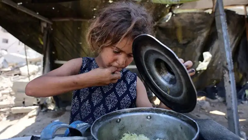 Gazze'de Kıtlık Krizi: Savunmasızların Çektiği Aşırı Acı